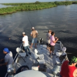 New Orleans Fishing Charters In Louisiana LA - Guide