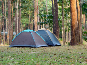 Tent Campsite Camping On The Water In Lafitte Louisiana