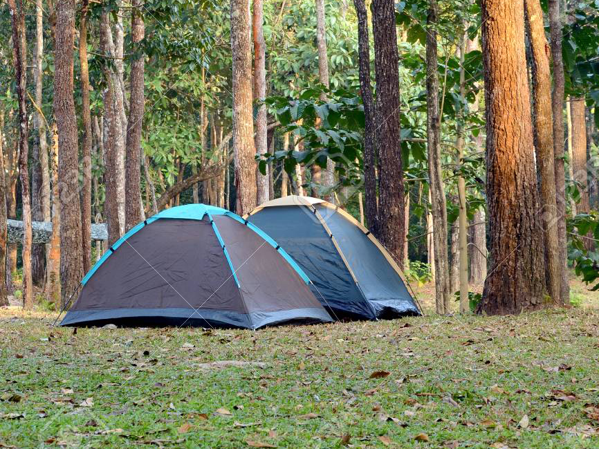 Tent Campsite Camping On The Water In Lafitte Louisiana